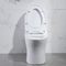het Dubbele Gelijke Ééndelige Toilet van 3L 6L met Hoogste Knopencupc Wit Porselein